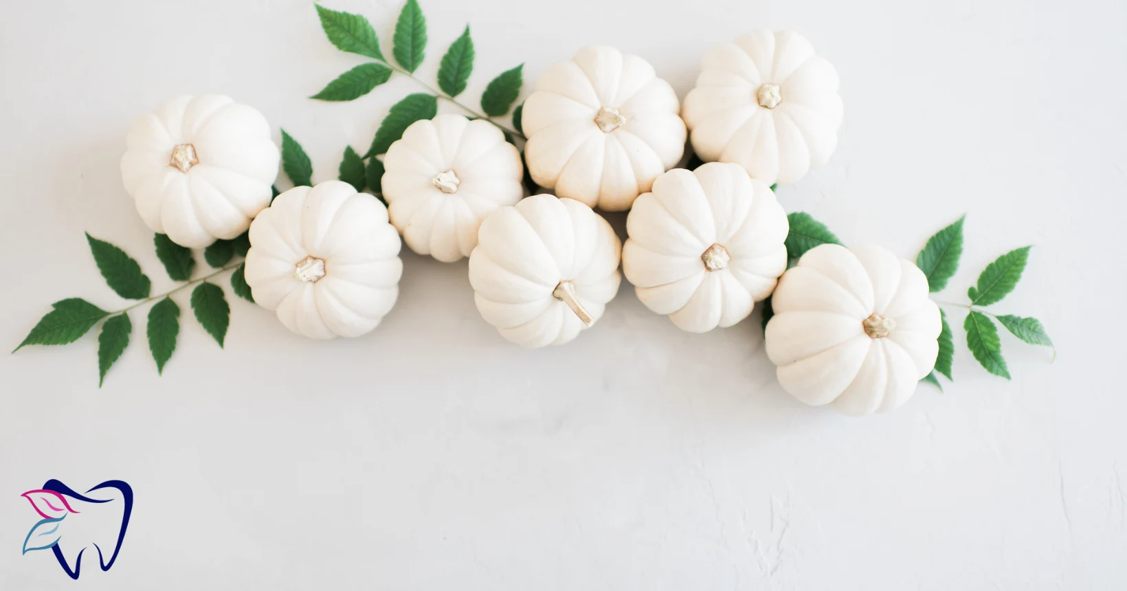 White mini pumpkins arranged with green leaves for Thanksgiving